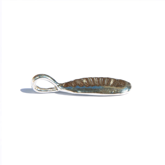 Leucolla Fossil Pendant