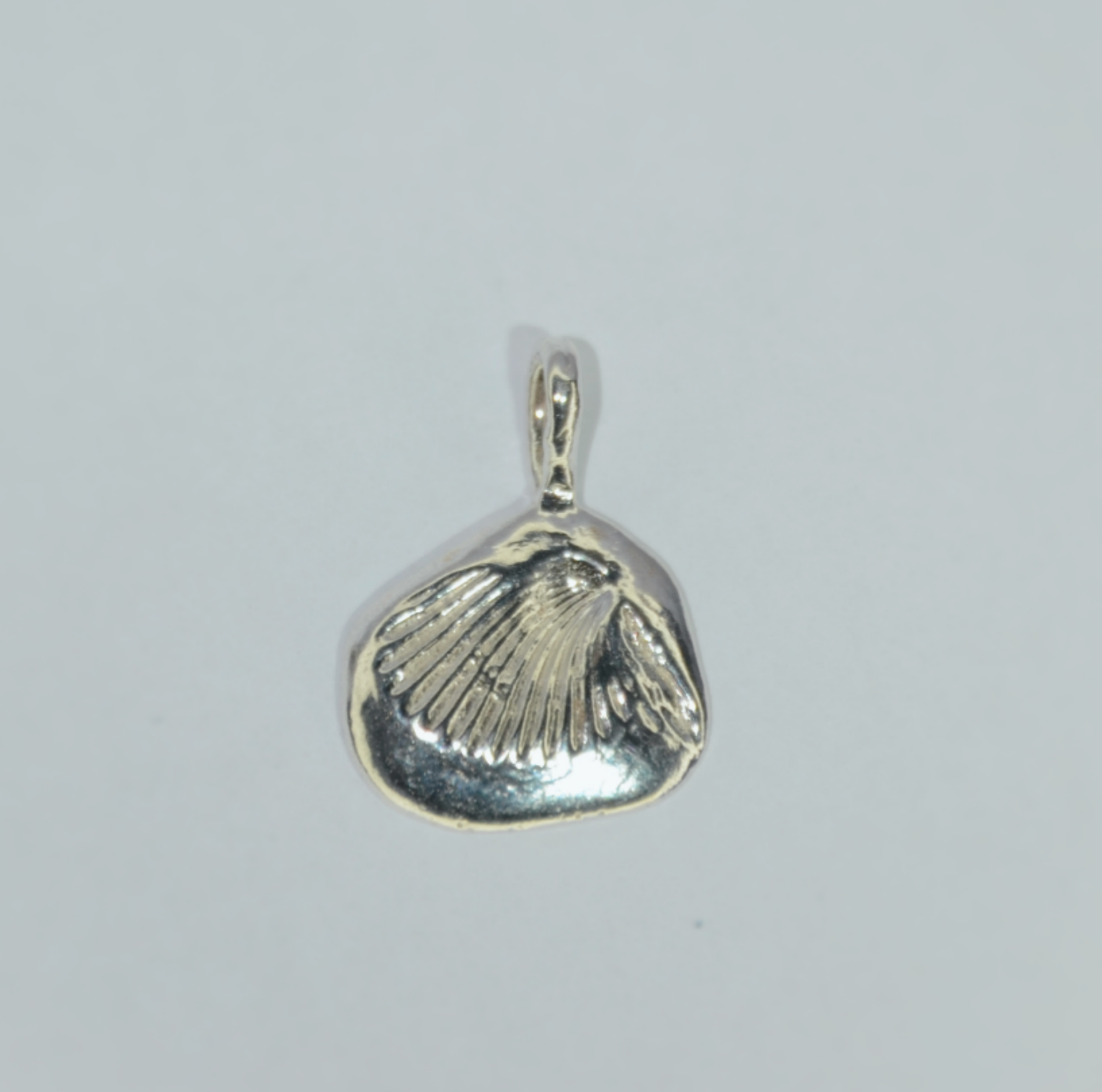 Leucolla Fossil Pendant