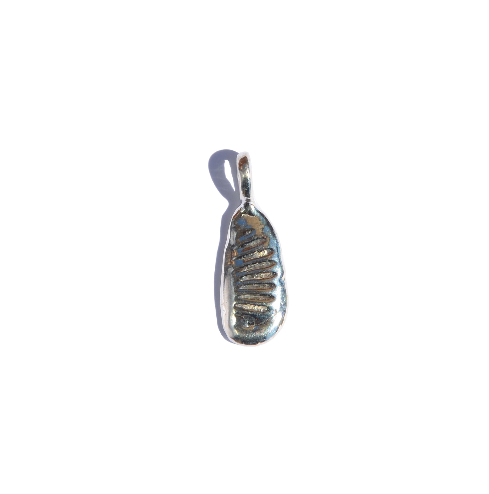 Leucolla Fossil Pendant