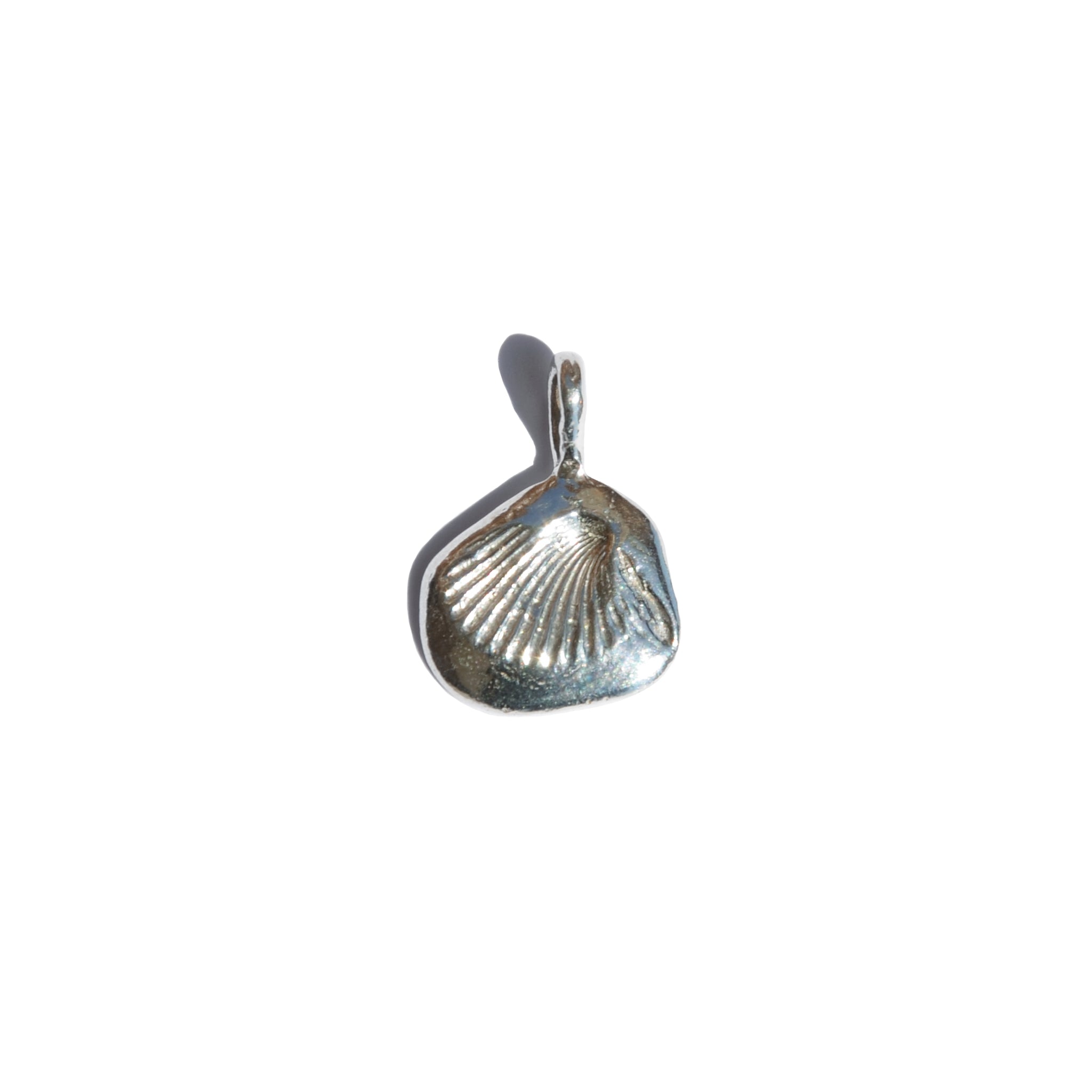 Leucolla Fossil Pendant
