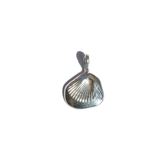 Leucolla Fossil Pendant