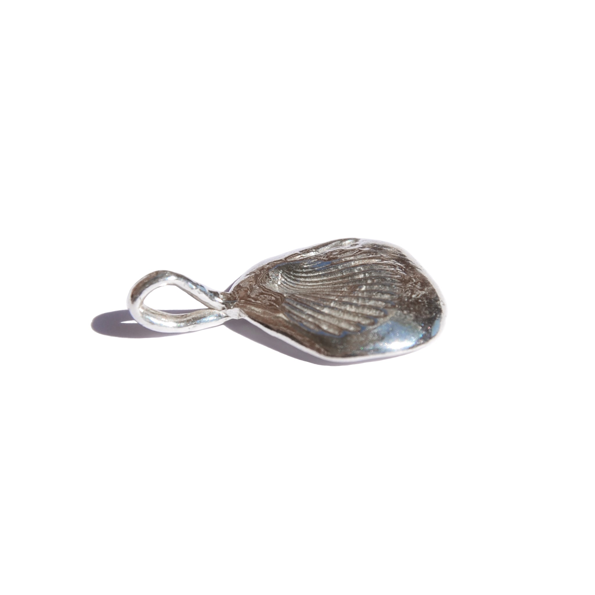 Leucolla Fossil Pendant
