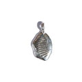 Leucolla Fossil Pendant