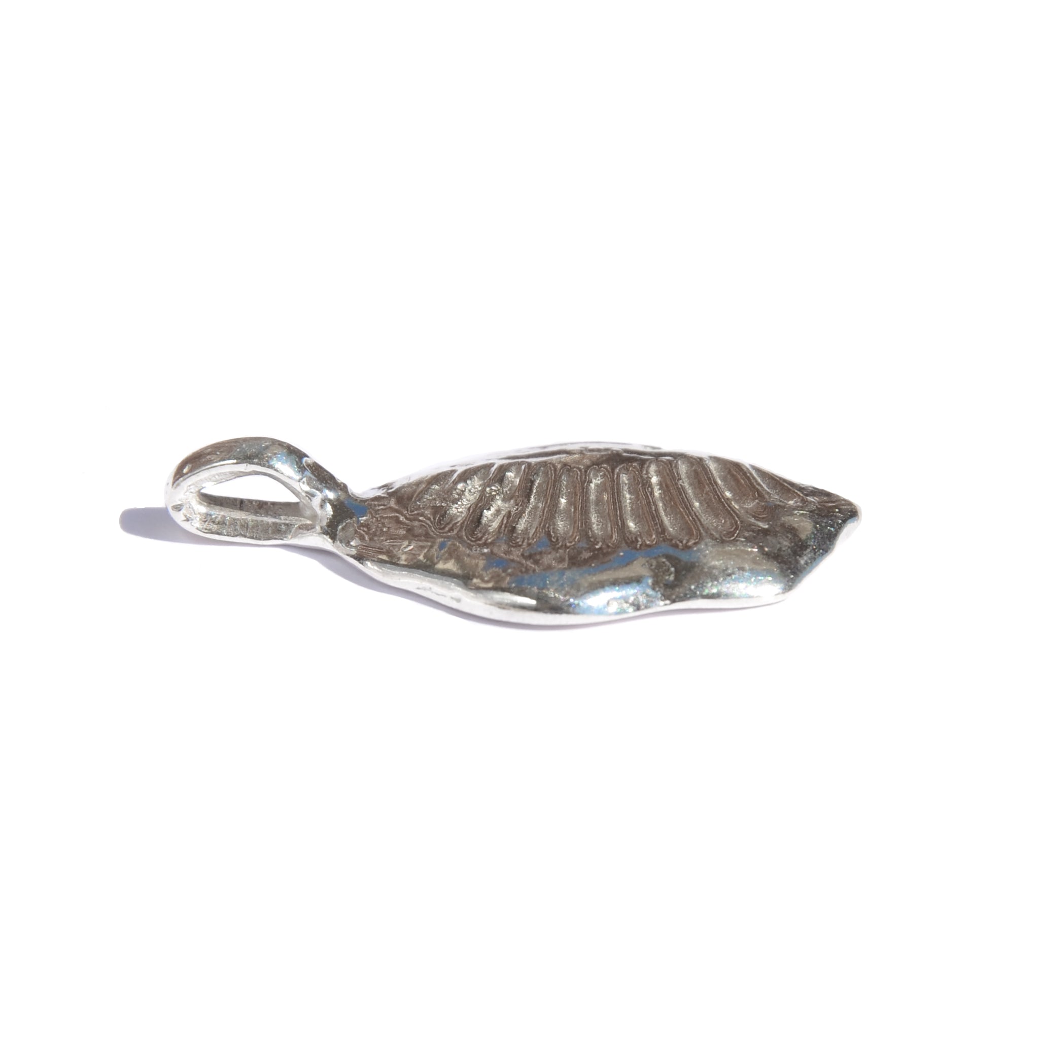 Leucolla Fossil Pendant